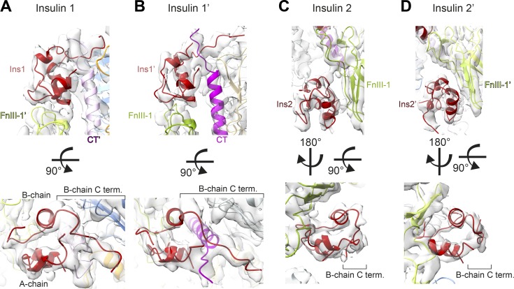 Figure 4.