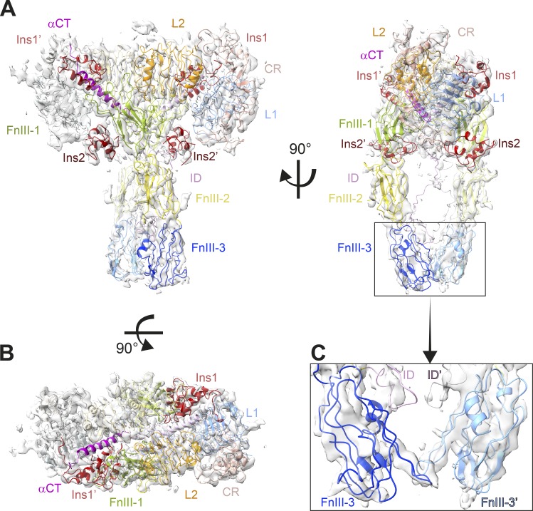 Figure 2.