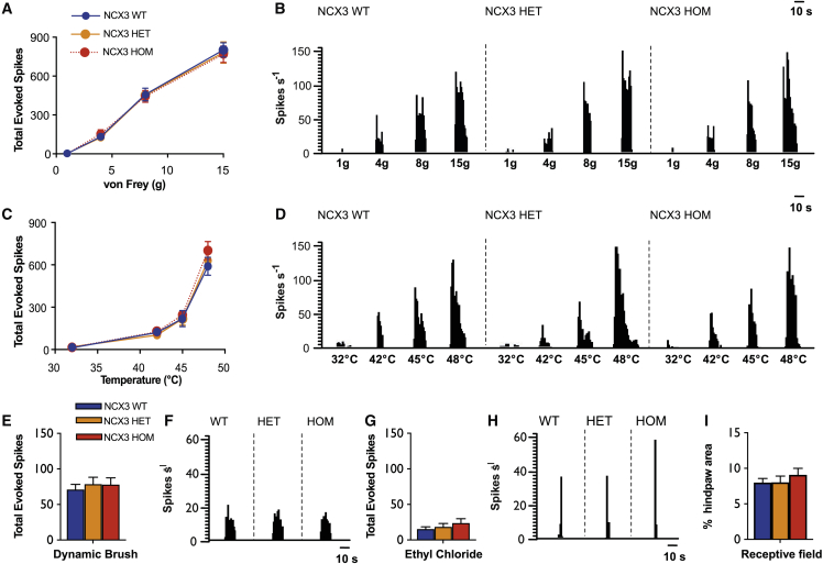 Figure 6