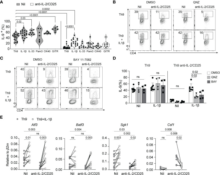 Figure 2