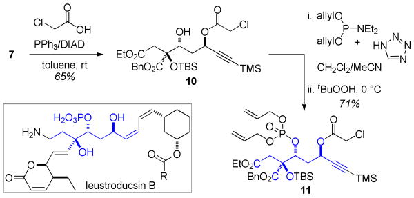 Scheme 3