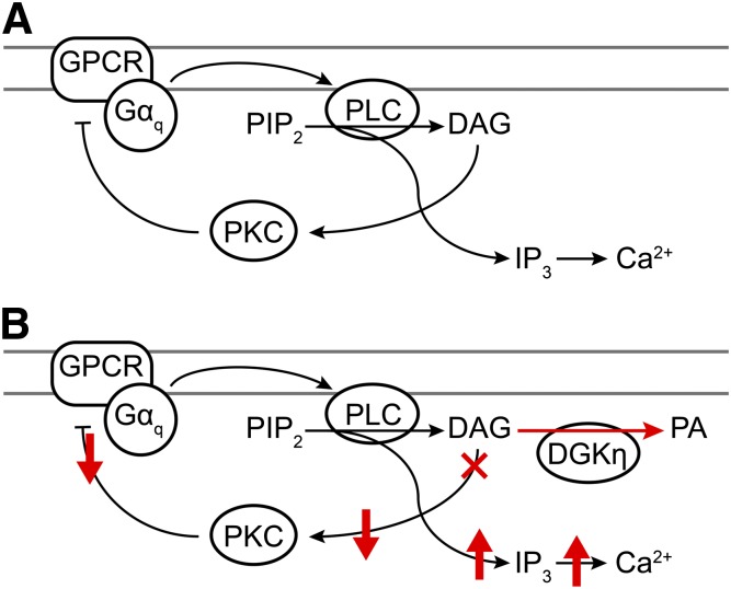 Fig. 7.