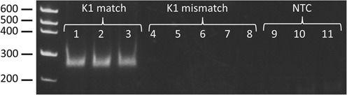 Figure 5.