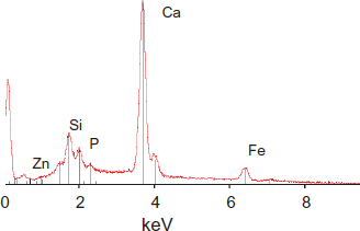 Figure 21