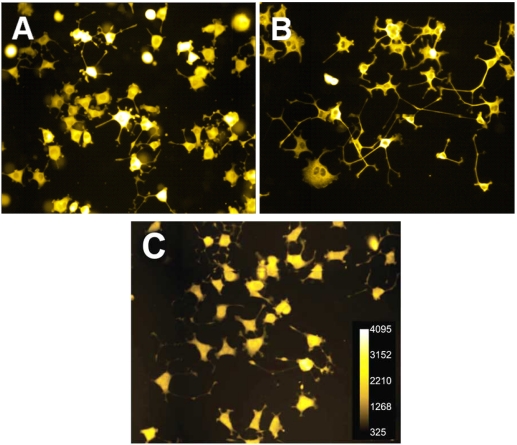 Fig. (2)