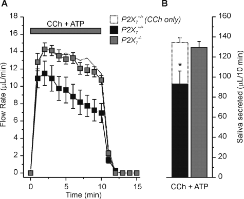 FIGURE 7.