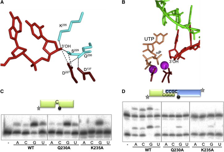 Figure 7