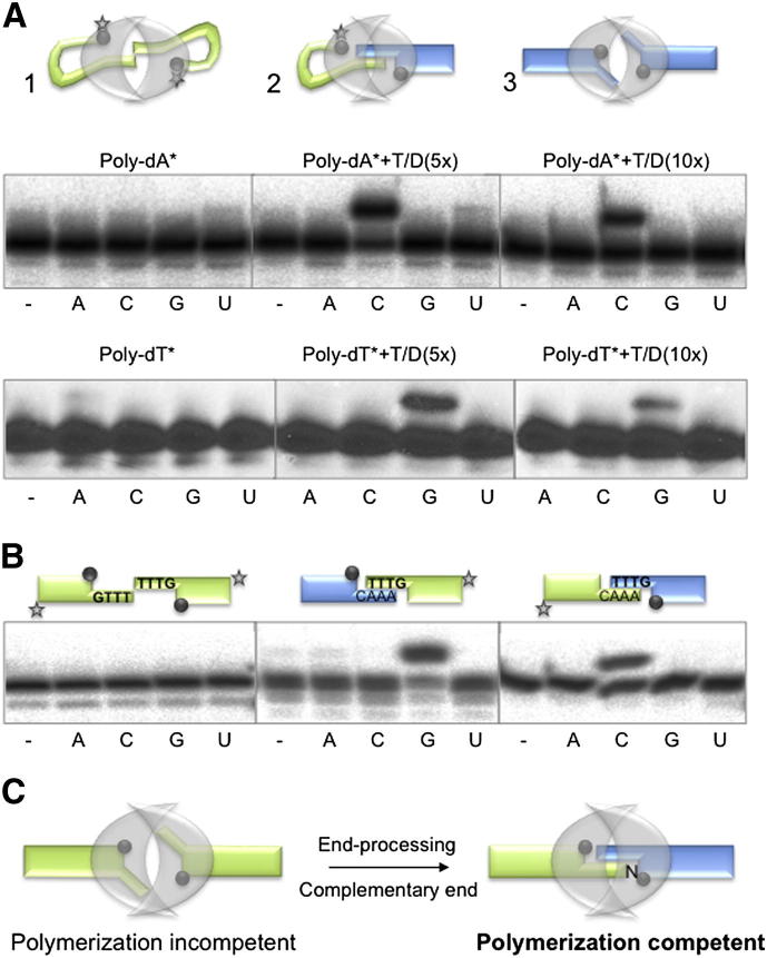 Figure 1