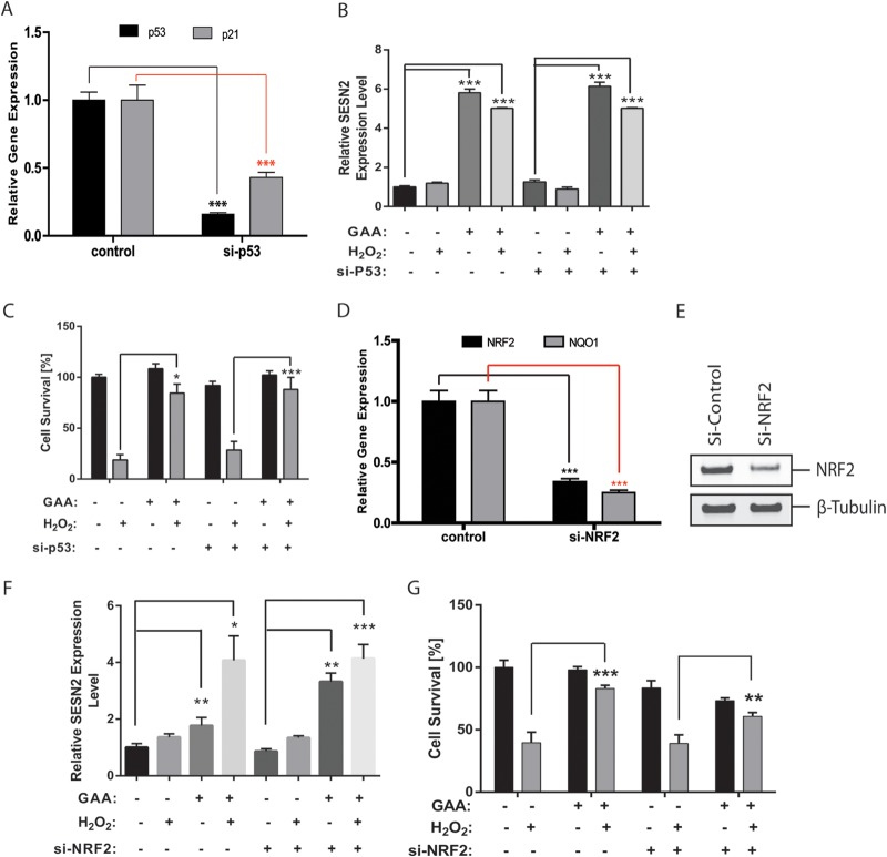 FIG 6