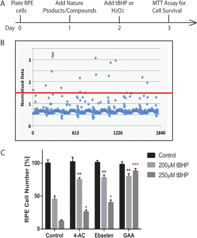 FIG 1