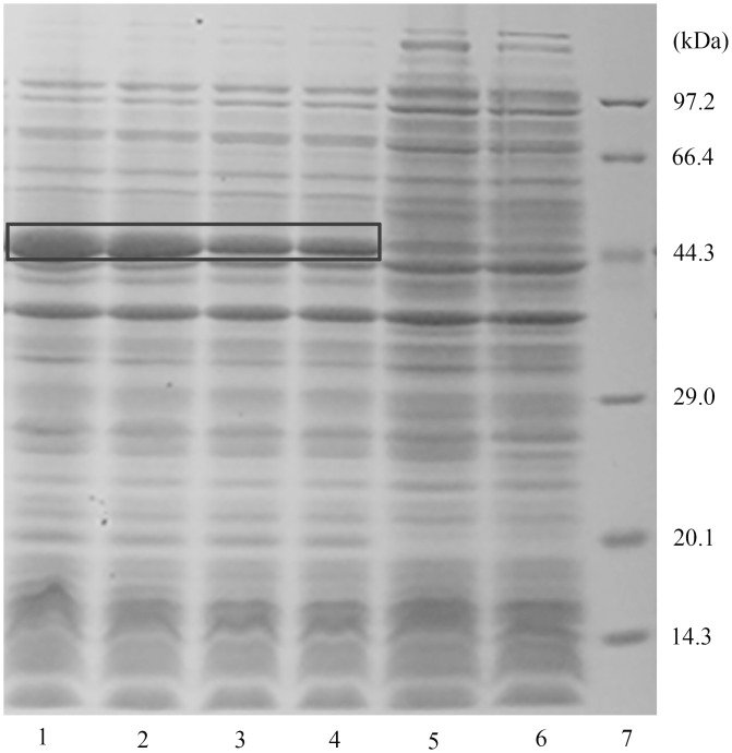 Fig 6