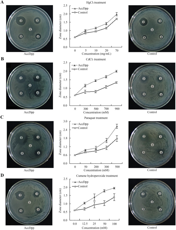 Fig 10