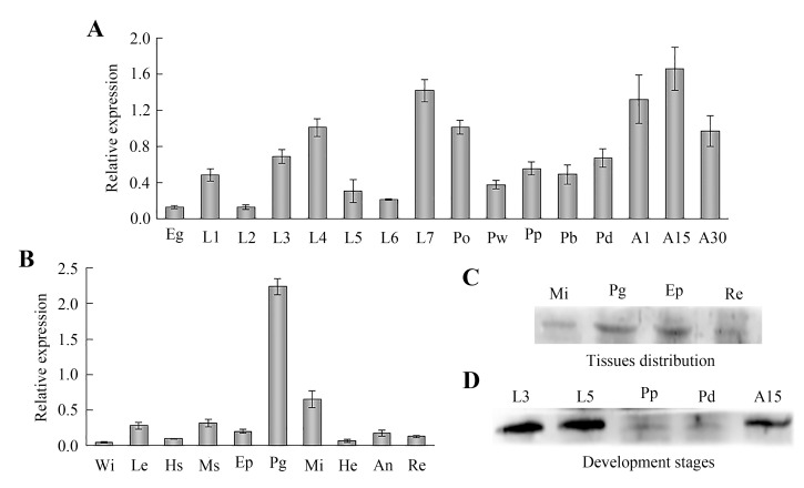 Fig 7