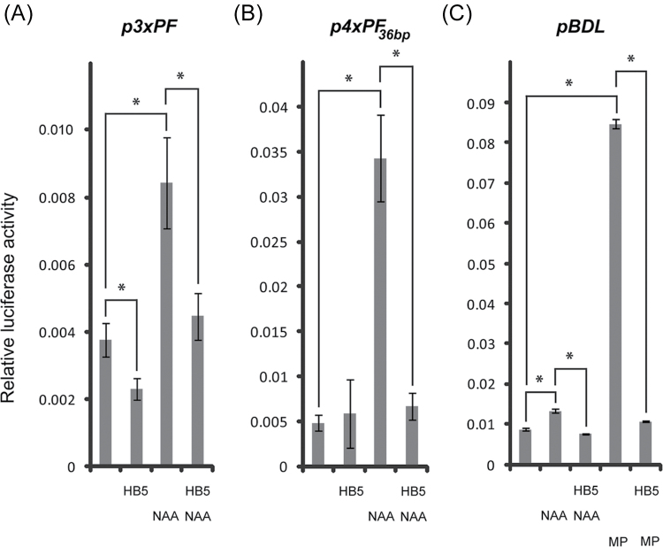 Fig. 7.