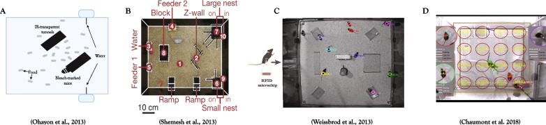 Fig. 2