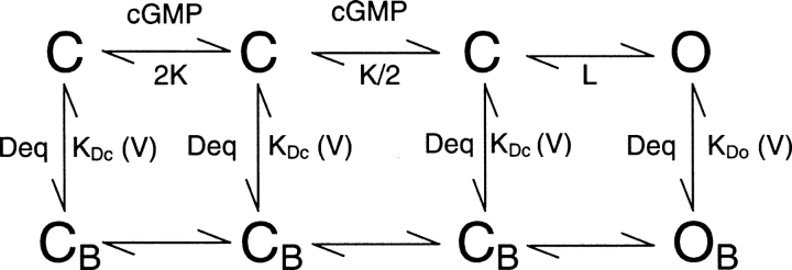 SCHEME I