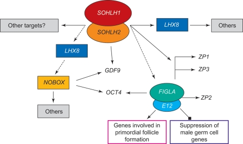 Figure 2