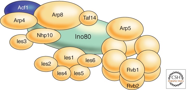 Figure 7.