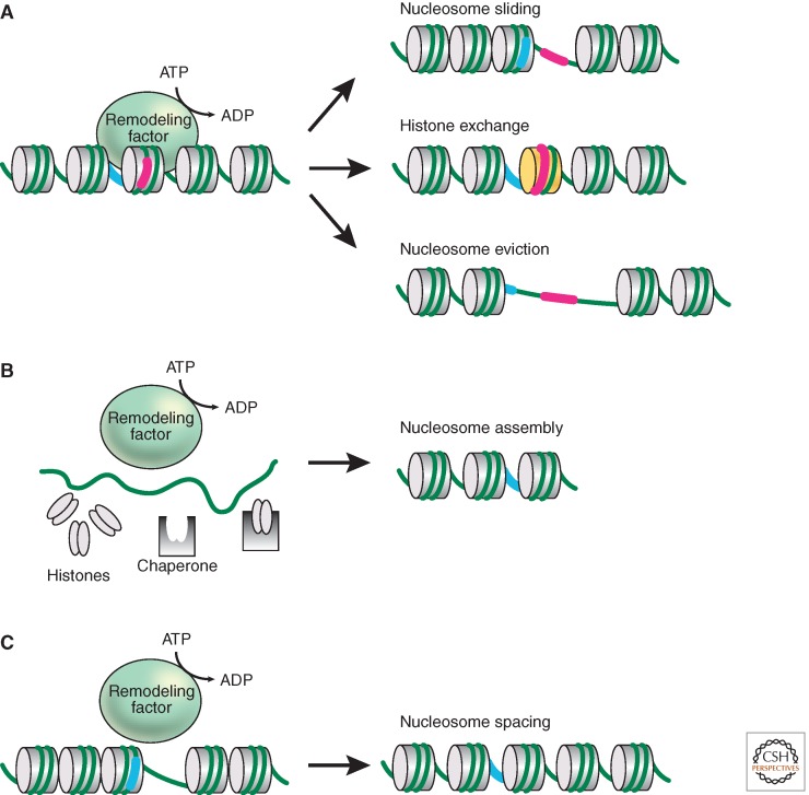 Figure 2.