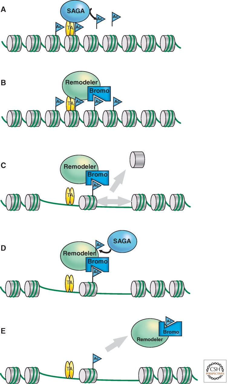 Figure 9.