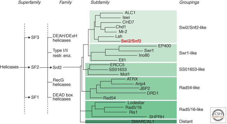 Figure 4.