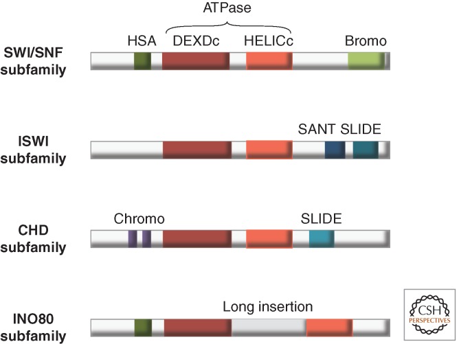 Figure 6.