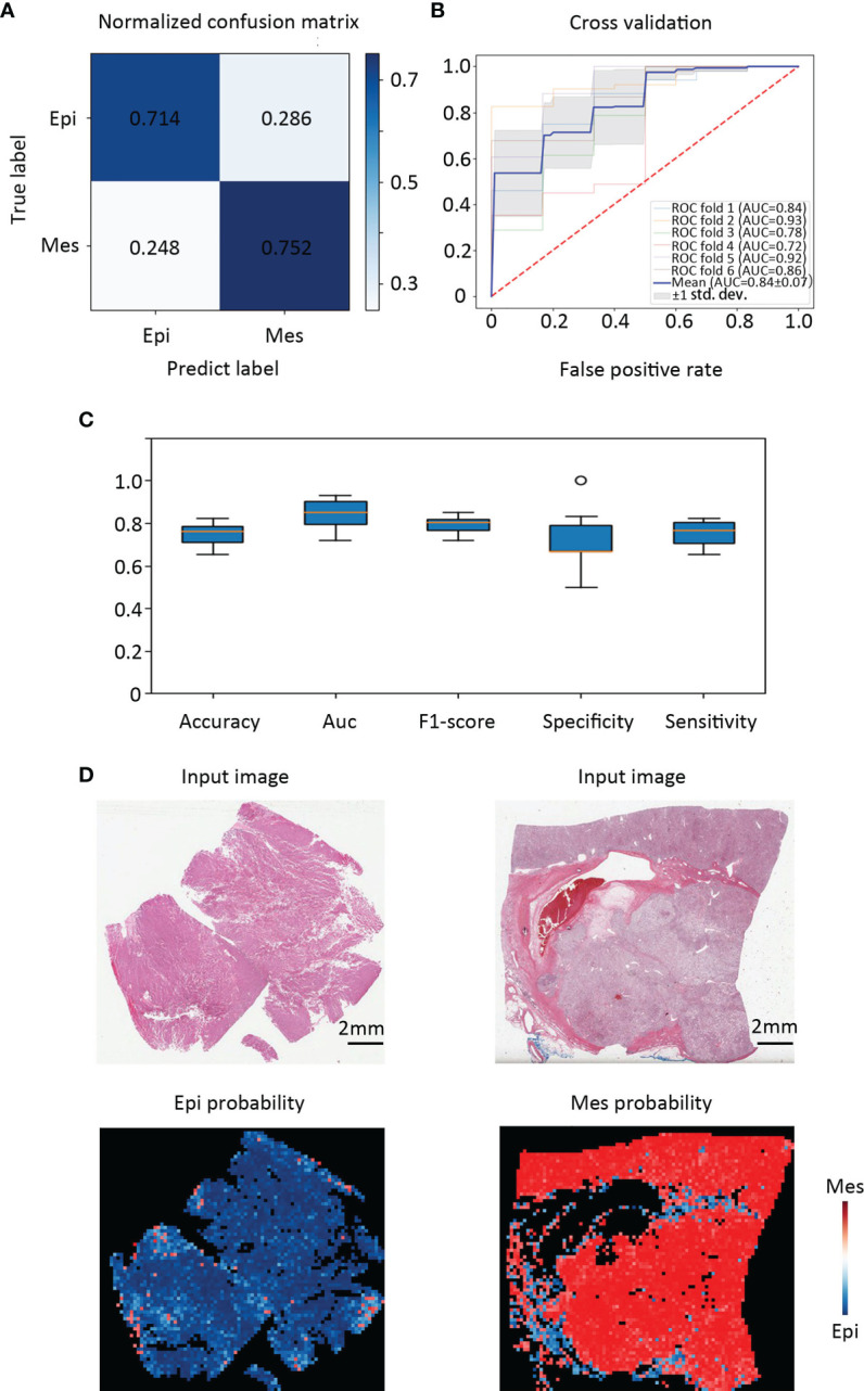 Figure 3