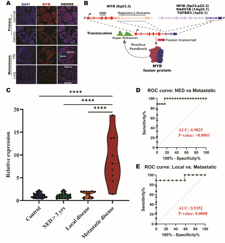 Figure 1: