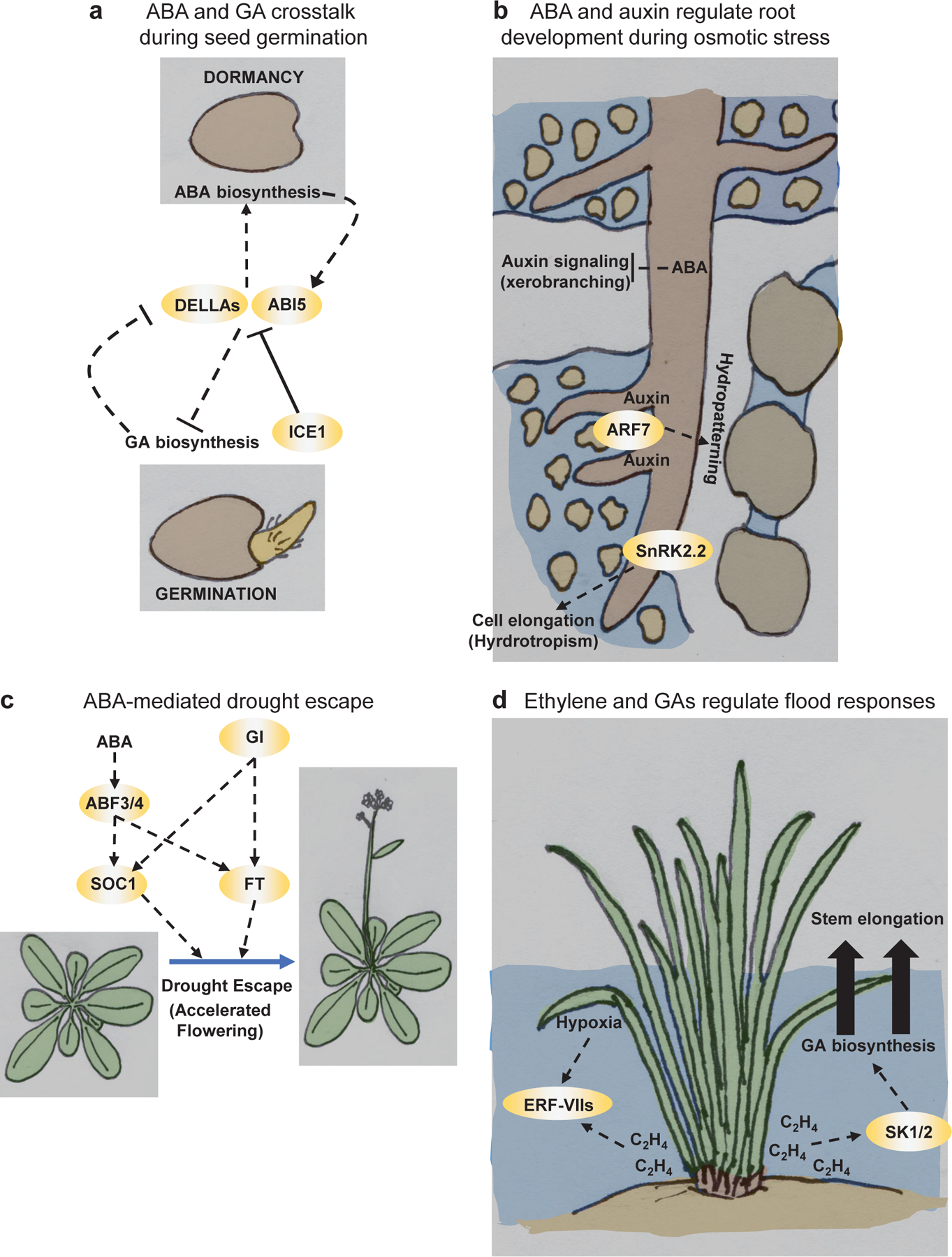 Figure 3 |