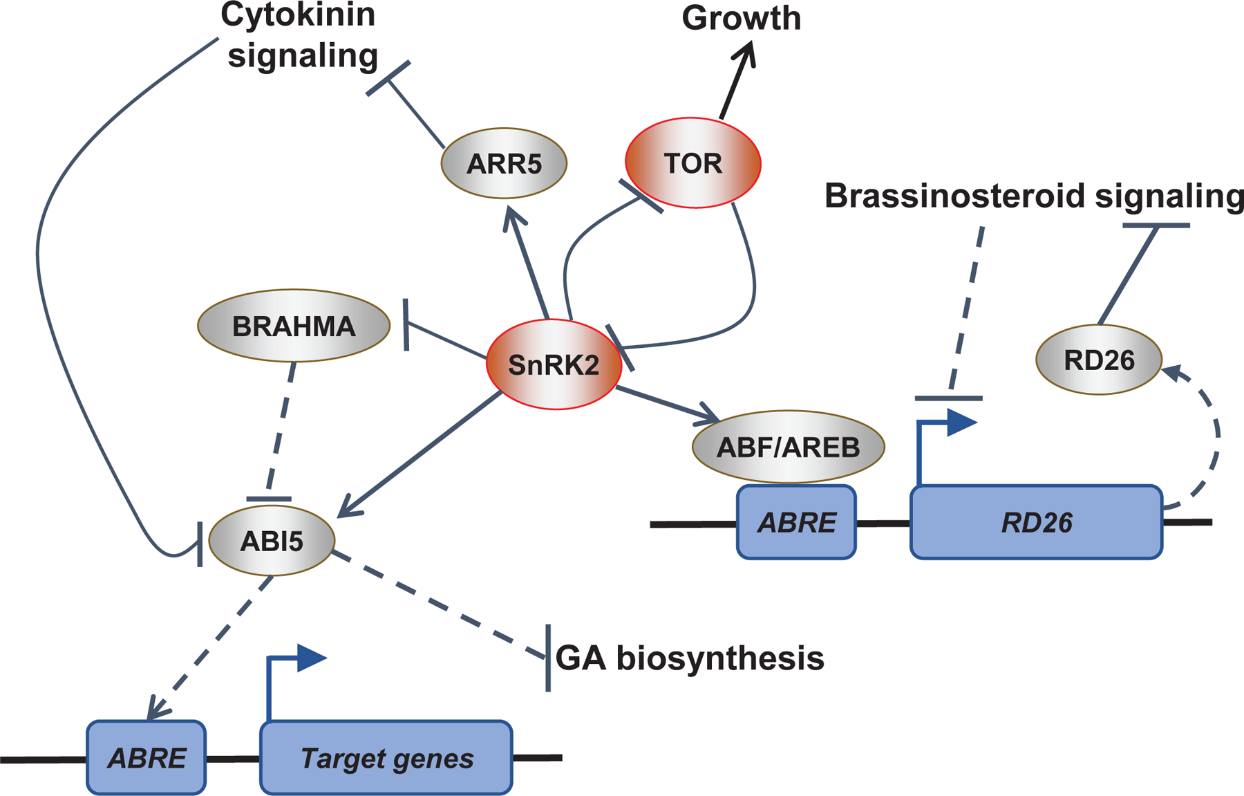 Figure 2 |