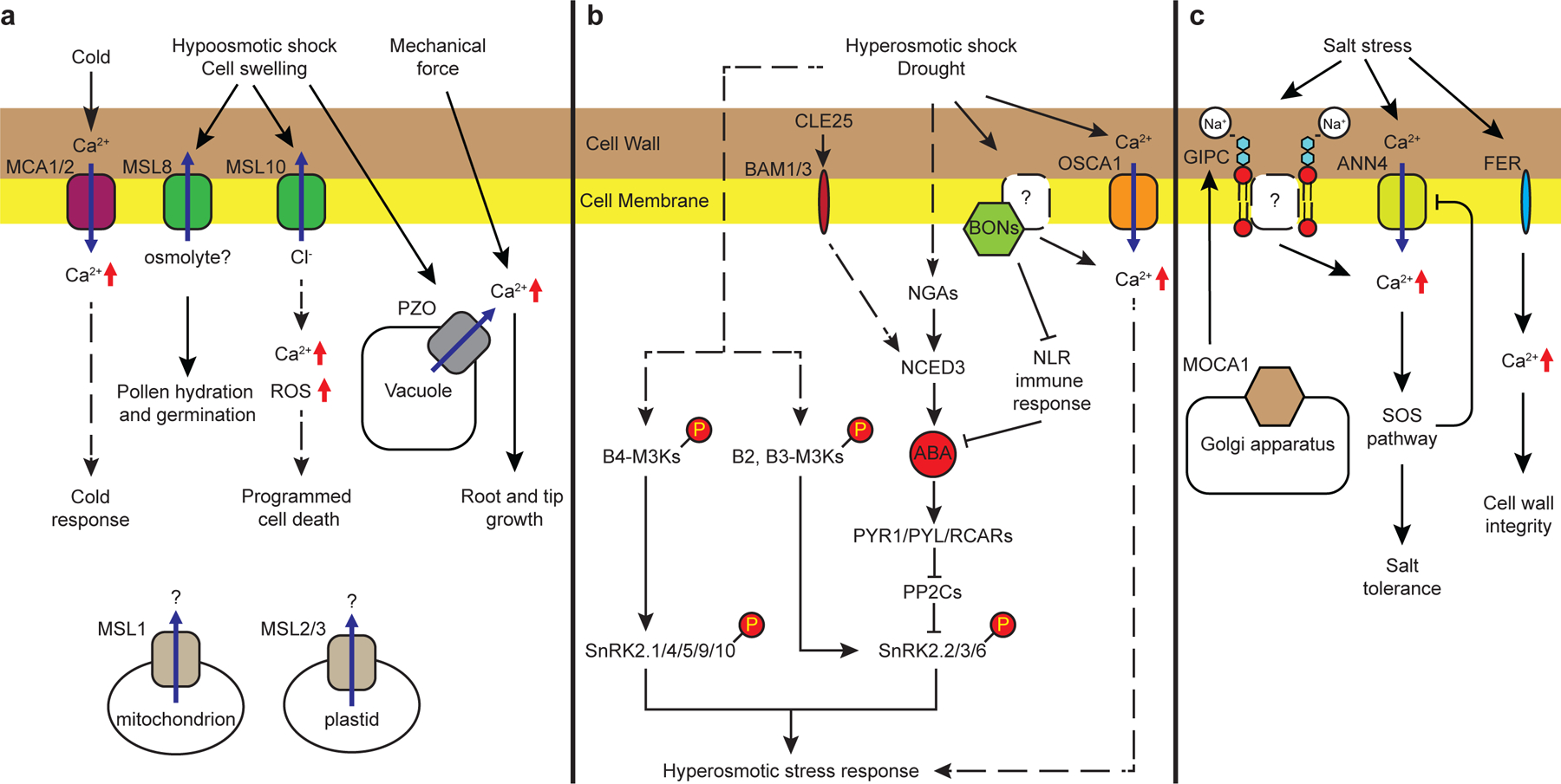 Figure 1 |