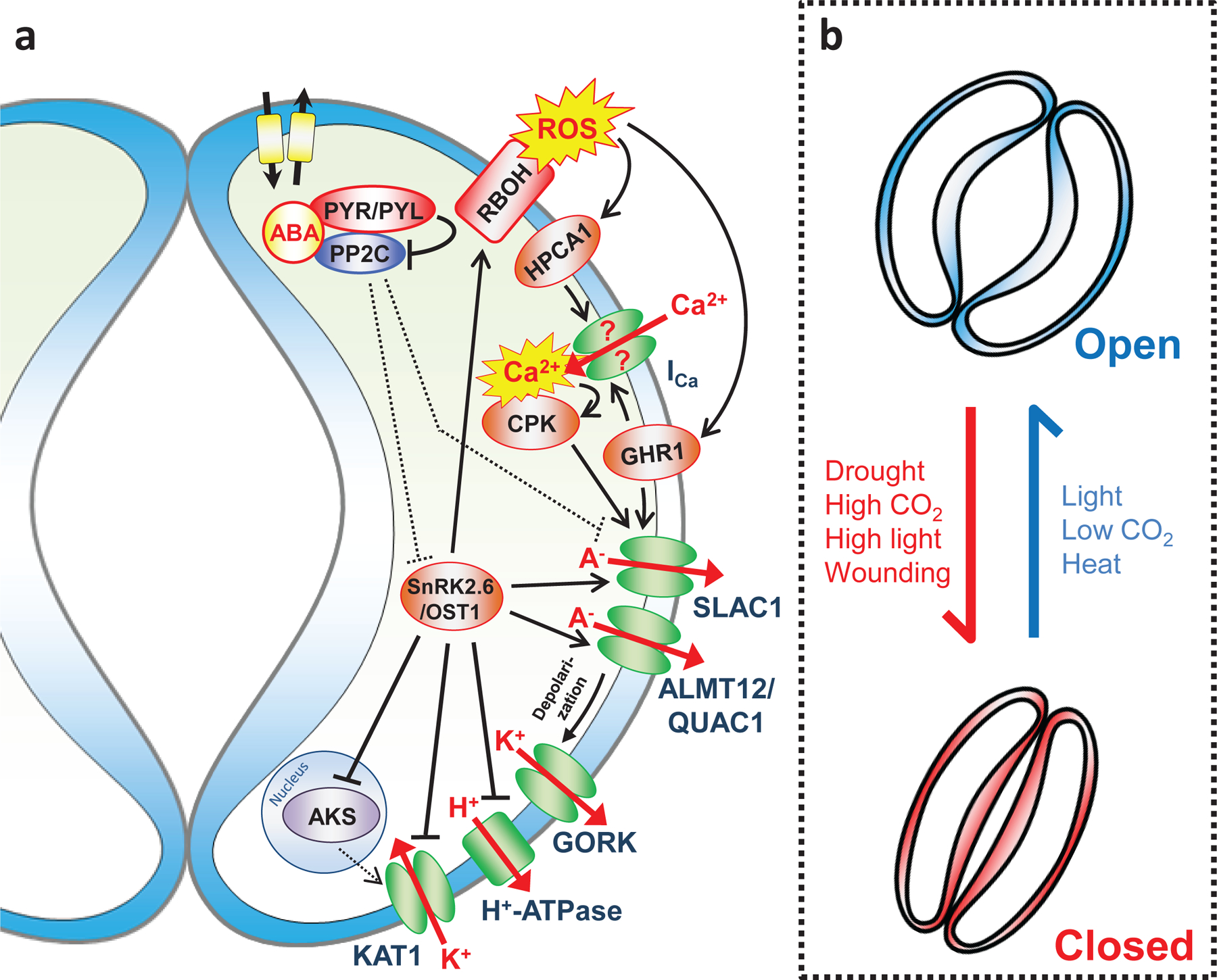 Figure 4 |