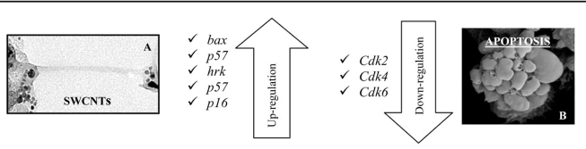 Fig. (3)