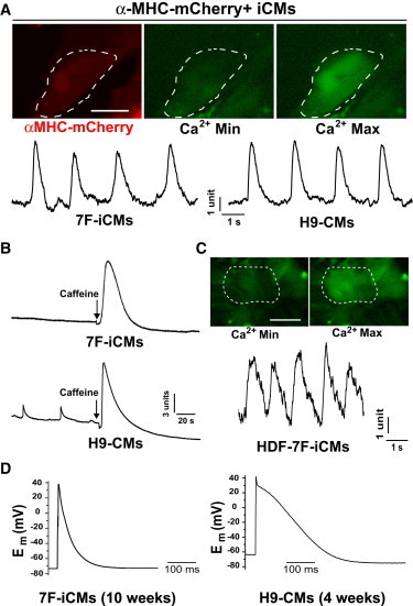 Figure 5