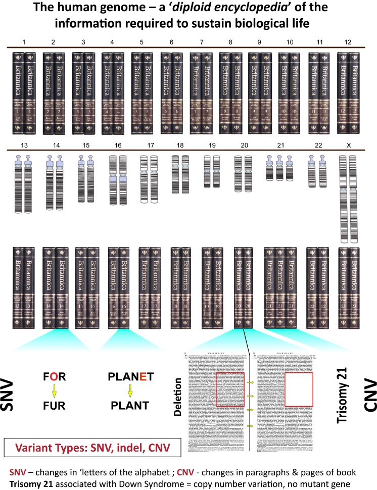 Figure 1