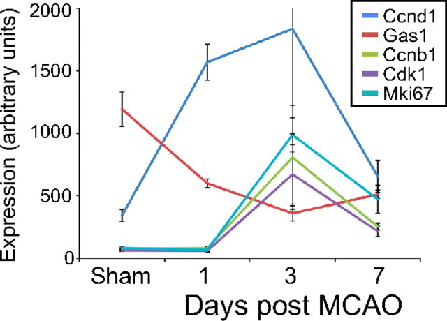 Figure 6.