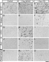 Figure 11.