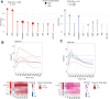Figure 3. Mutation analysis at recognition sites of motifs enriched in ER+PR+ breast cancer. A, Lollipop graph showing enriched motif families in PM_Lum catalog overlapping SNVs from ICGC-EU (red) and ICGC-US (blue) against the total PM_Lum catalog (p value < 0.01; grey: p value > 0.01, Fisher exact test). B and C, graph (top) and heatmaps (bottom) showing the enrichment of mutations at DNA recognition sites found to be significantly enriched in the PM_Lum catalog using ICGC-EU (B) and ICGC-US (C) mutation calls. Cohen D was calculated based on resampling and the value indicates significant enrichment. The red dotted line indicates Cohen D median.