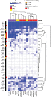 Figure 5. Cancer driver cistromes are of transcription factors essential to luminal breast tumors. A heatmap showing the probability of the essentiality of the transcription factor in several breast cancer cell lines with different subtypes (Luminal, triple-negative breast cancers (TNBC), and HER2). Column annotation indicates the enrichment of mutations at binding sites ± 50 bp, and rows annotation shows cell line subtype.