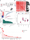 Figure 1. Identifying chromatin accessibility in ER+PR+ breast cancer. A, Primary tumors were minced and dissociated for subsequent flow sorting into immune and epithelial cell populations, followed by ATAC-seq profiling. B, Heatmap showing similarities between ER+PR+ accessible chromatin profiles. Cosine similarity analysis was calculated using comparing all chromatin accessibility of samples with each other. Bar plot showing number of called peaks per sample. C, Bar plot showing the number of accessible chromatin regions from TCGA_Lum datasets that overlapped PM_Lum in blue and the ones unique to each cohort in red. D, A graph showing the chromatin accessibility saturation curve. A nonlinear regression model analysis was performed using the number of unique ATAC peaks discovered in each sample to estimate the percentage of accessible chromatin mapped in PM_Lum (Purple; n = 26 samples), TCGA_Lum (Blue; n = 41 samples), and luminal cell lines (MCF7 and T47D, Orange; n = 2). E, Percentage of distribution of mapped accessible chromatin regions within the genome. The cis-regulatory element annotation system (CEAS) is utilized to perform genomic distribution analysis of the accessible chromatin region mapped by ATAC-seq. **p value < 0.001, two-sided t test; The box plot ranges are Q1, Median, and Q3; the whiskers are ± 1.5x the IQR. F, Bar plot showing p values for cosine similarities between PM_Lum and TCGA_Lum in comparison with immune cells' accessible chromatin. Red dotted line represents p value = 0.01, two-sided t test. G, Lollipop graph showing enriched motif families in ER+PR+ breast tumors (p value < 0.01, Fisher exact test). The catalog of 26 ATAC-seq data was used. Enrichment of motifs within ATAC-seq regions against DNaseI hypersensitive sites from several cell lines was computed. Motif families were obtained using the Jaspar database. The size of the circles represents the number of target peaks for each motif.