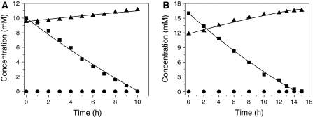 Fig. 5