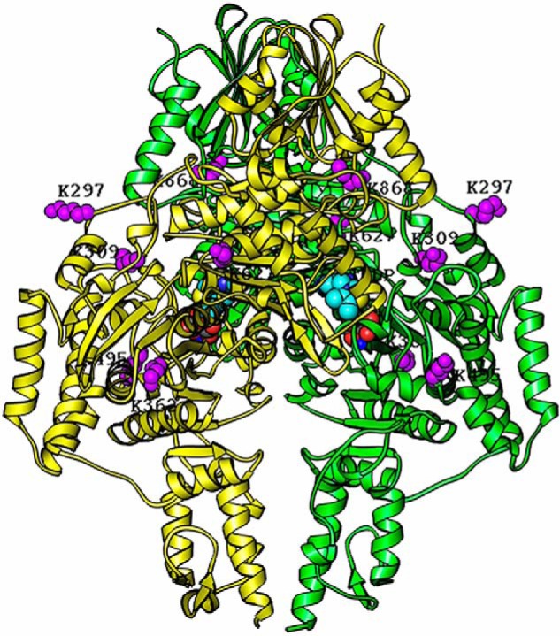 Figure 10.