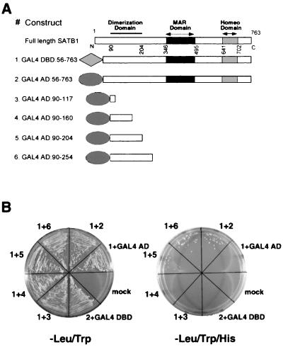 FIG. 8