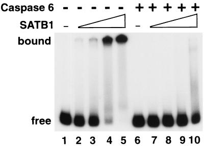 FIG. 6