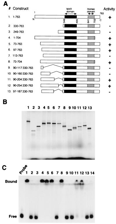 FIG. 7