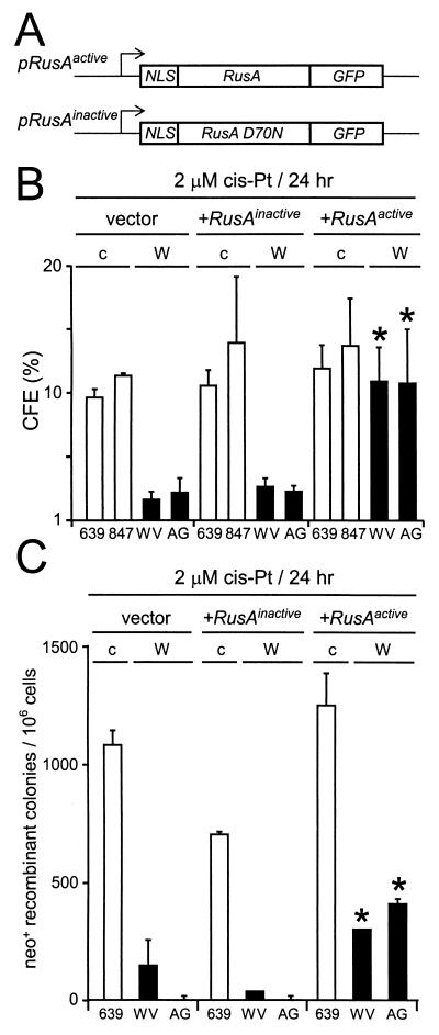 FIG. 5.