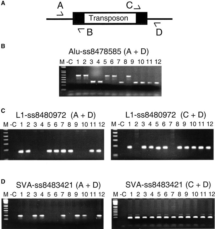 Figure 3.—