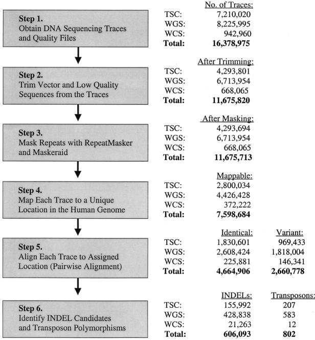 Figure 1.—