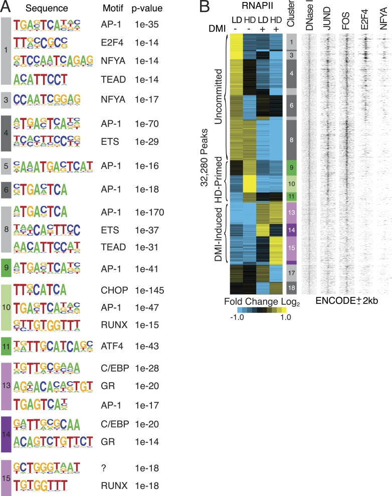 Figure 1—figure supplement 1.