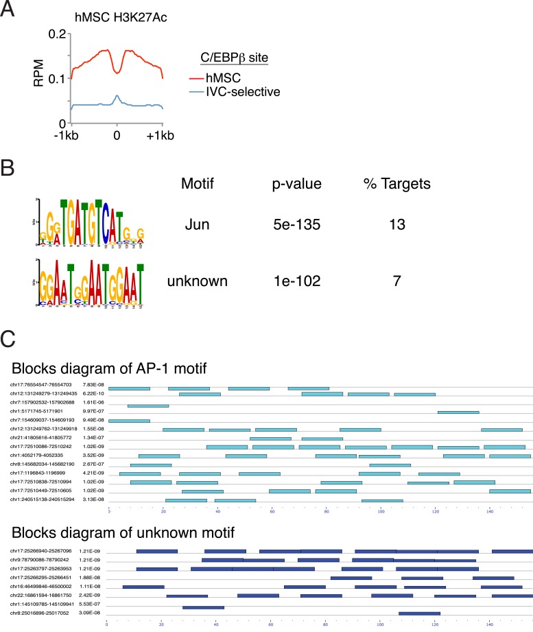 Figure 6—figure supplement 1.